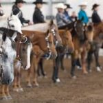 Western show lineup
